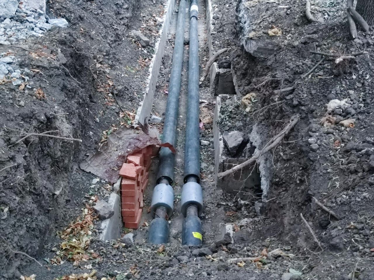 Тематическое фото Елена Гиневская, ИА Stavropol.Media