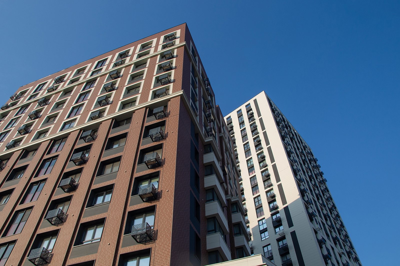 Тематическое фото Юлия Матреницкая, ИА AmurMedia.ru