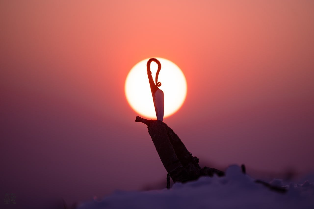 На вершине Таунге: фотограф из Хабаровска поделился неповторимыми пейзажами Сихотэ-Алиня Артём Щуковский