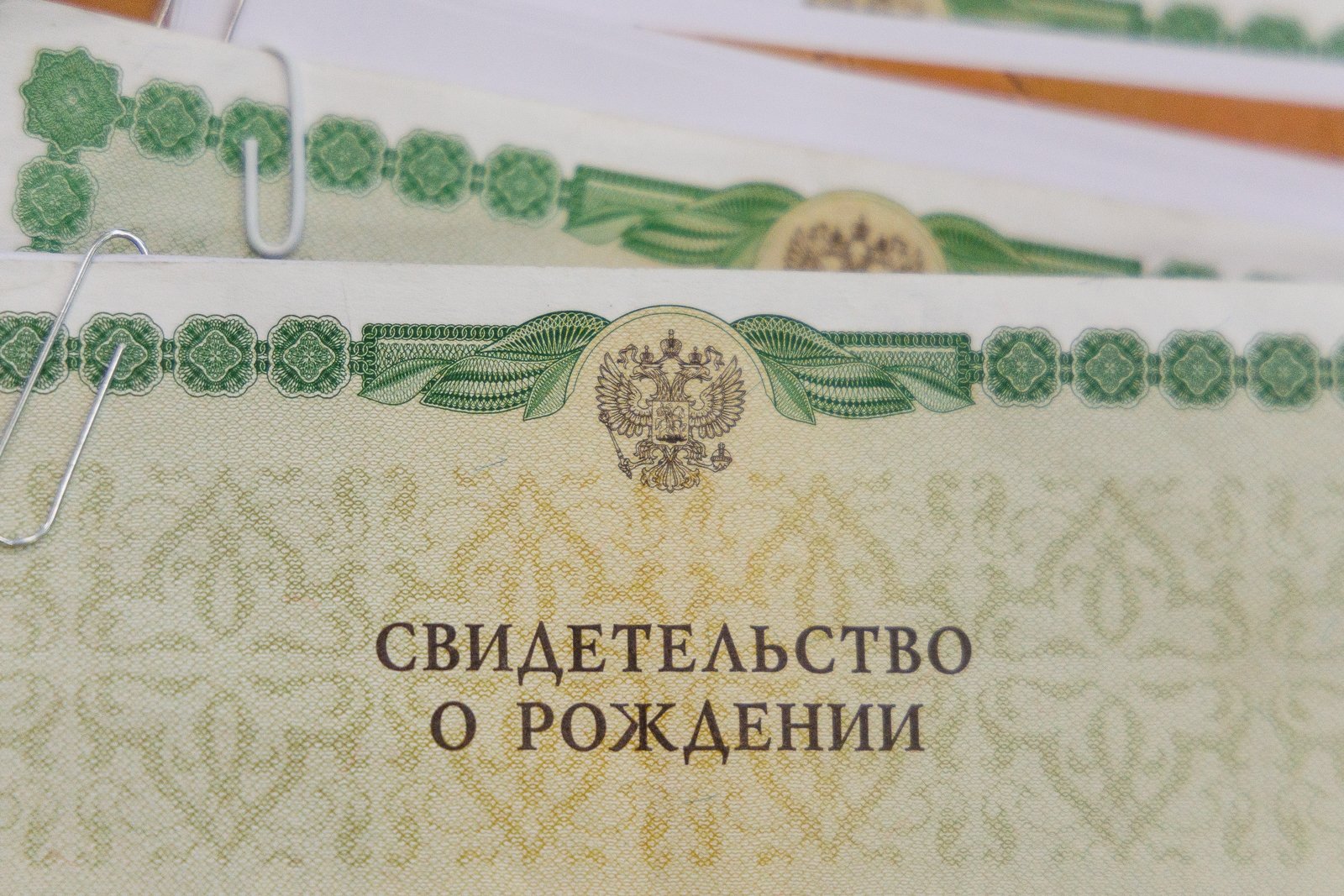 Тематическое фото ИА PrimaMedia