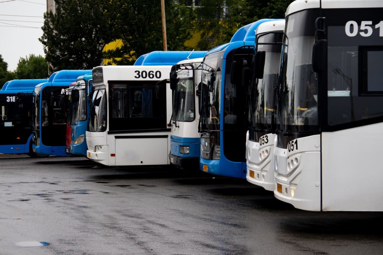 Автобусы Ирина Васильева, ИА KamchatkaMedia