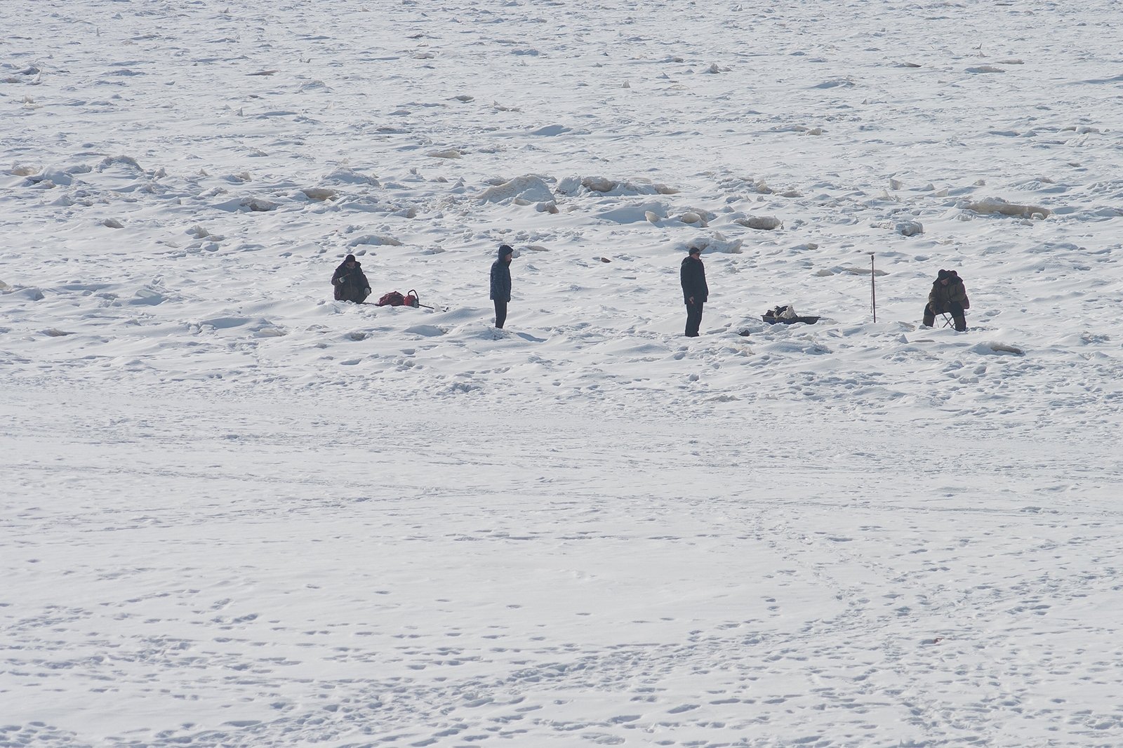 Тематическое фото Юлия Матреницкая, ИА AmurMedia.ru