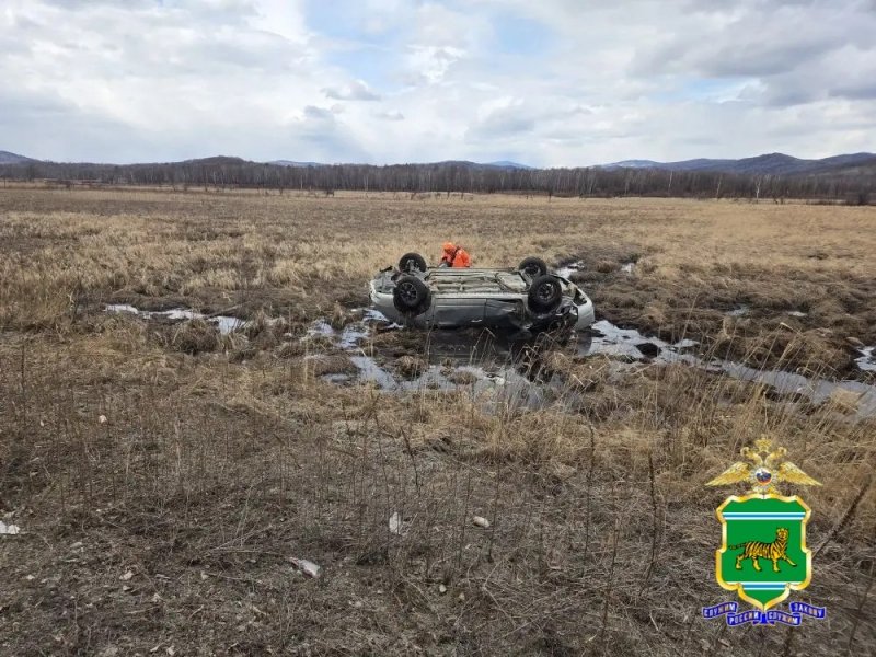 ДТП Госавтоинспекция ЕАО