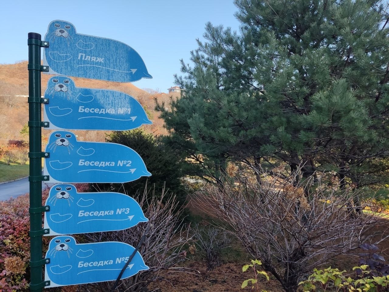 Туризм Петр Максимов, ИА PriamurMedia