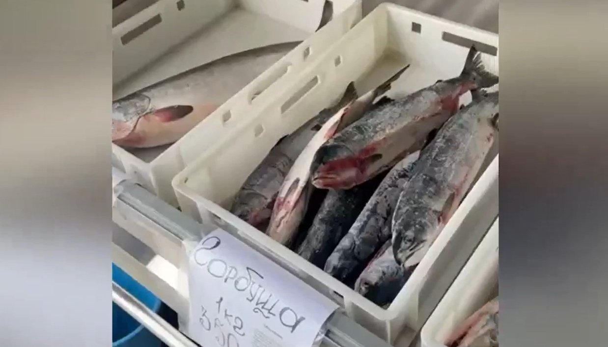 С места происшествия УМВД России по Магаданской области