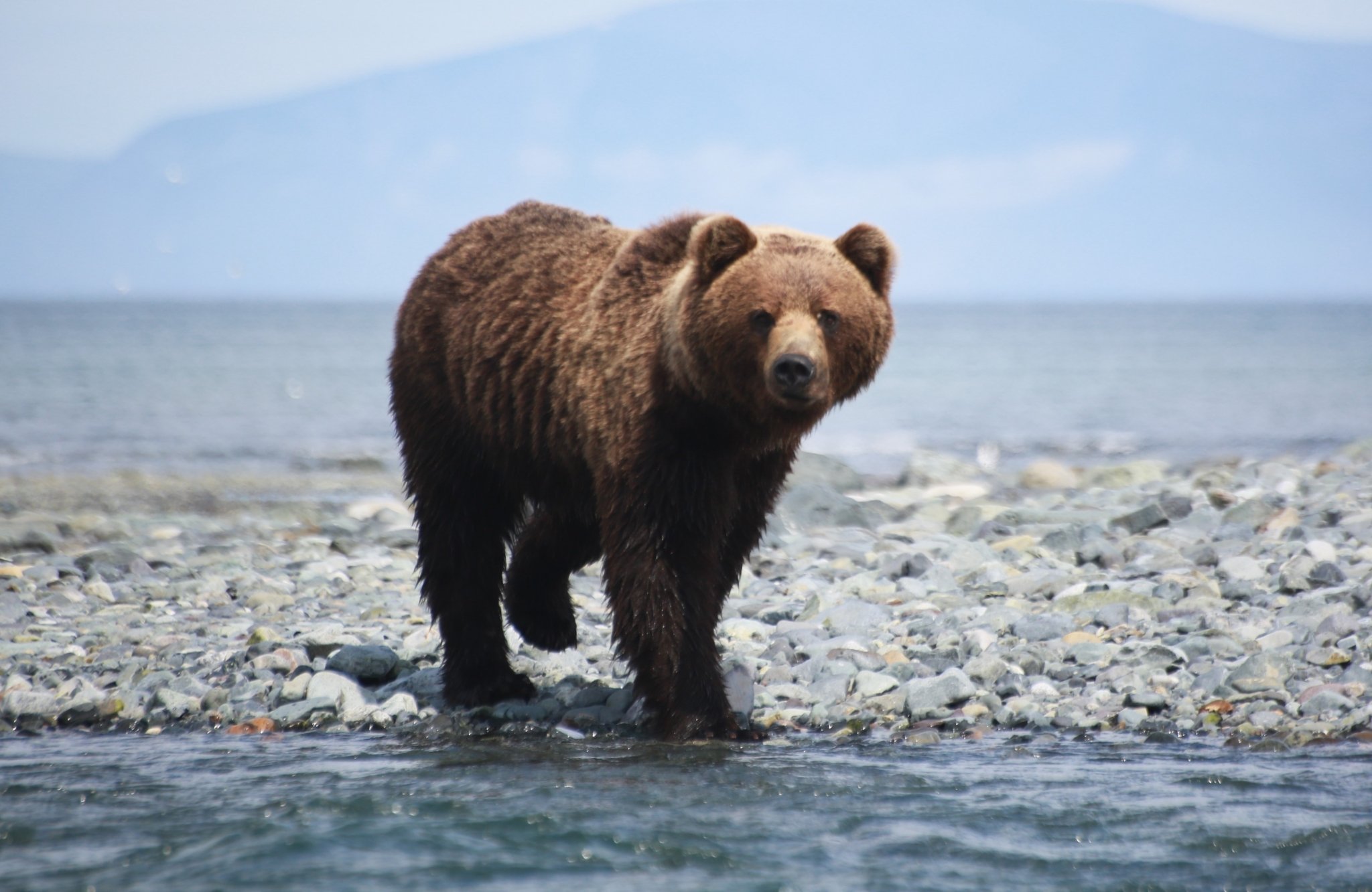 Тематическое фото Игорь Чёрный, ИА MagadanMedia.ru