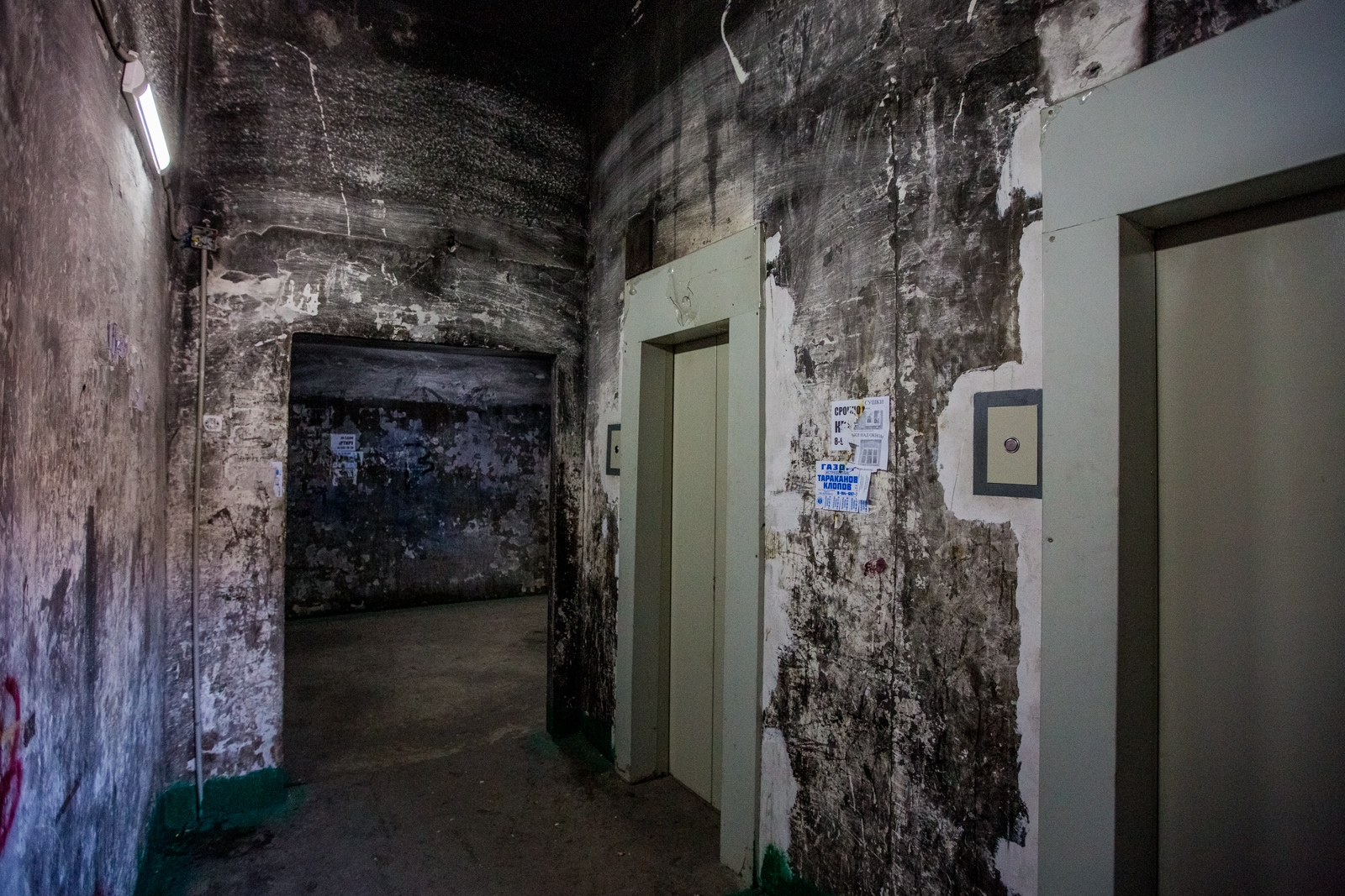 подъезд, гостинки, съемное жилье , гостинка, лифт Мария Смитюк, ИА PrimaMedia