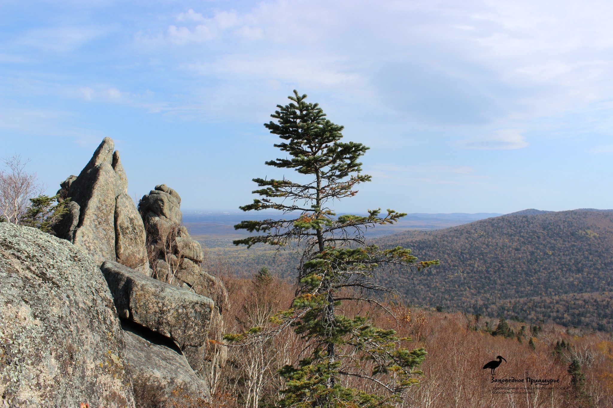 Огонь подошел к границам заповедника &quotБольшехехцирский&quot в Хабаровском крае ФГБУ &quotЗаповедное Приамурье&quot