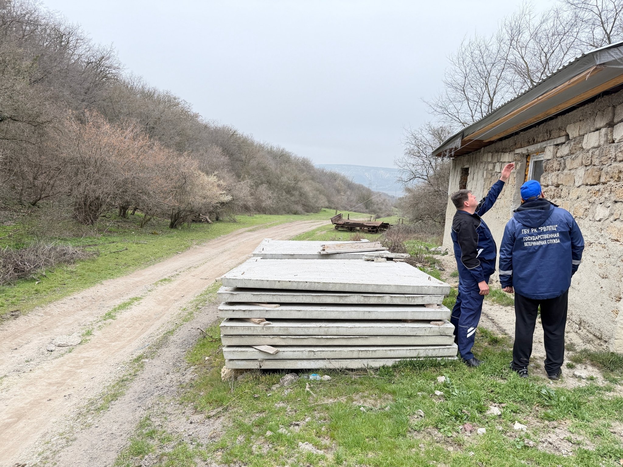 Приют собираются расширить Госкомитет ветеринарии Крыма