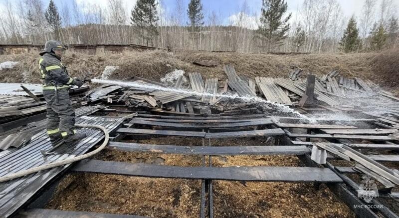 Женщина погибла на пожаре в Ангарске Пресс-служба ГУ МЧС России по Иркутской области